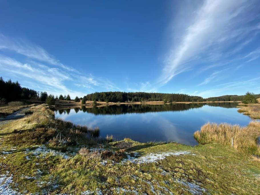 Bear Cottage, Tyn Y Cwm Eglwys-Fach Екстер'єр фото