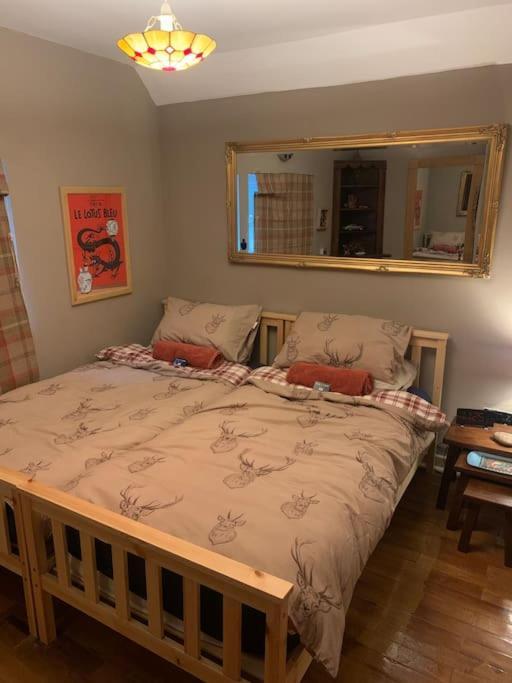 Bear Cottage, Tyn Y Cwm Eglwys-Fach Екстер'єр фото