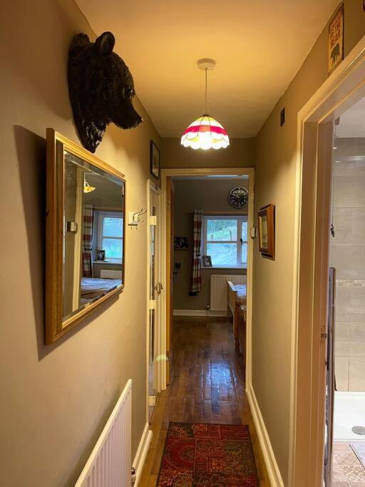 Bear Cottage, Tyn Y Cwm Eglwys-Fach Екстер'єр фото